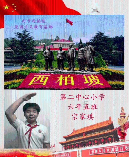 植物大战僵尸10